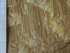 AI1 - Cristallisation de calcite